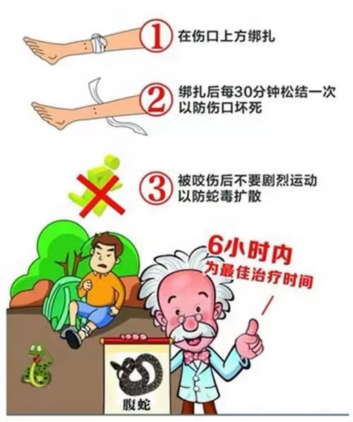 意外急救方法大全,意外事故如何保命