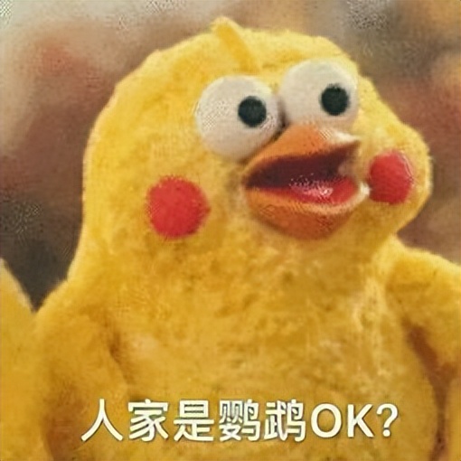 猫咪声音嘶哑的视频,猫咪声音嘶哑干呕没精神