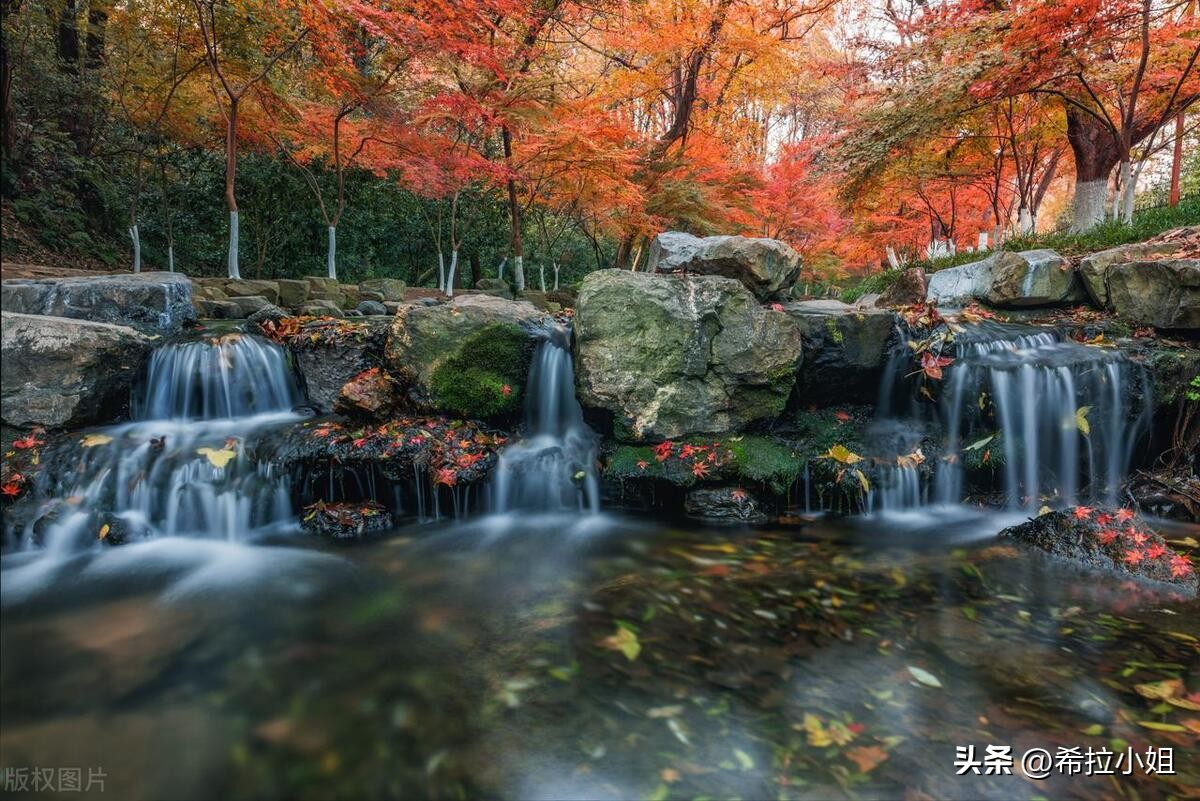 杭州新西湖十景更适合游览哪一景,杭州西湖新十景游玩攻略