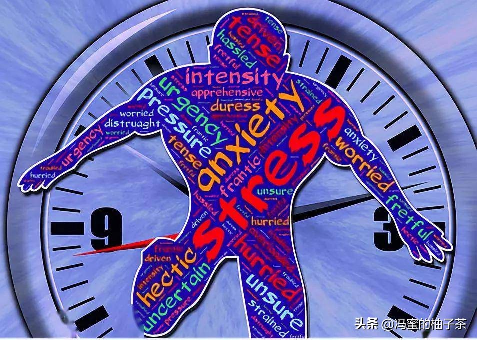 工作时间是否按实际工作时间,每天应如何分配工作时间