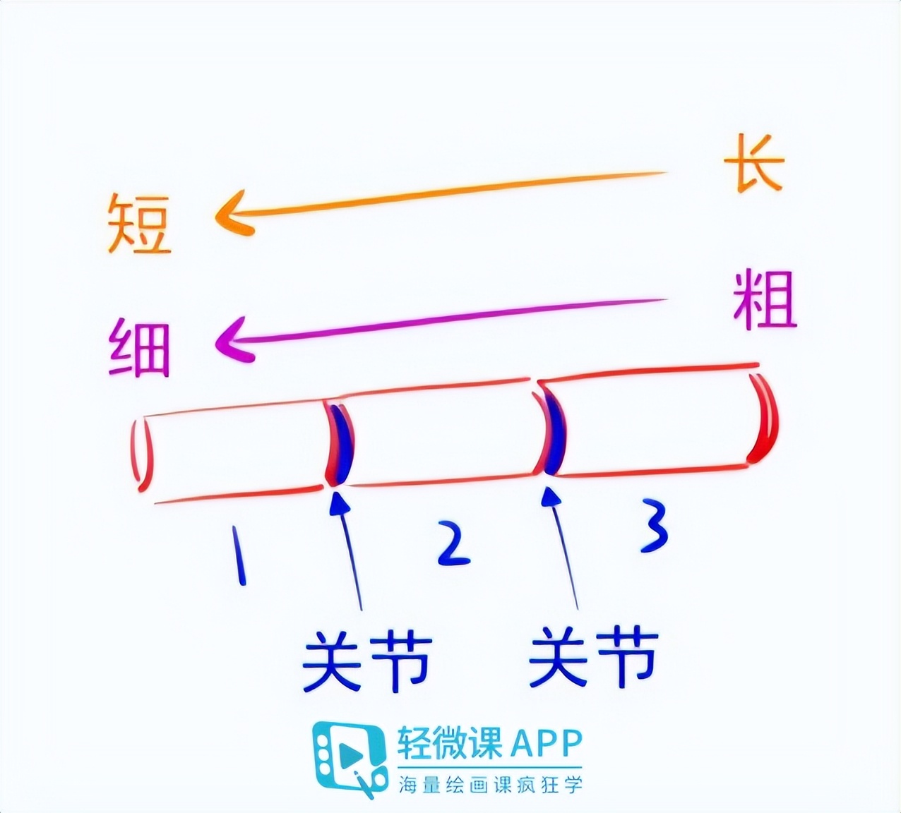 动漫人物的手部教程,简单动漫手部绘画