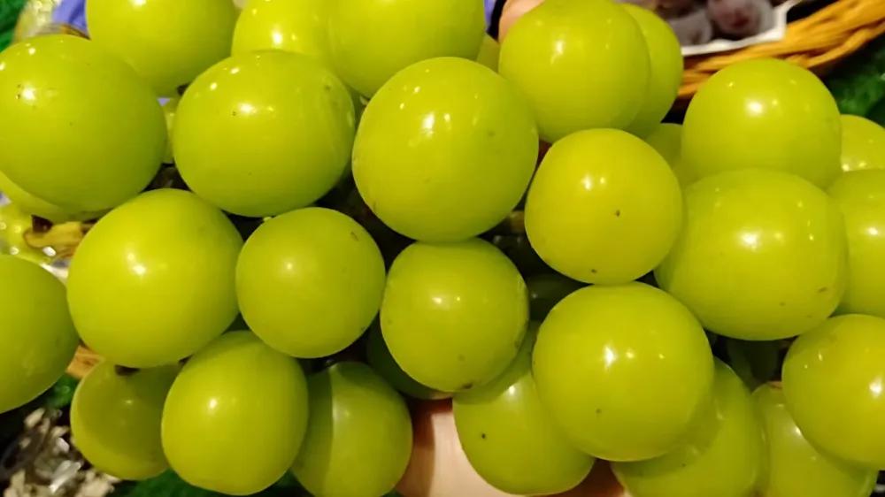 水果店促销策划方案,水果店的营销策划方法有哪些