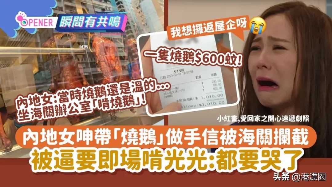 内地女生被判刑12个月,内地女子赴港生子被判刑