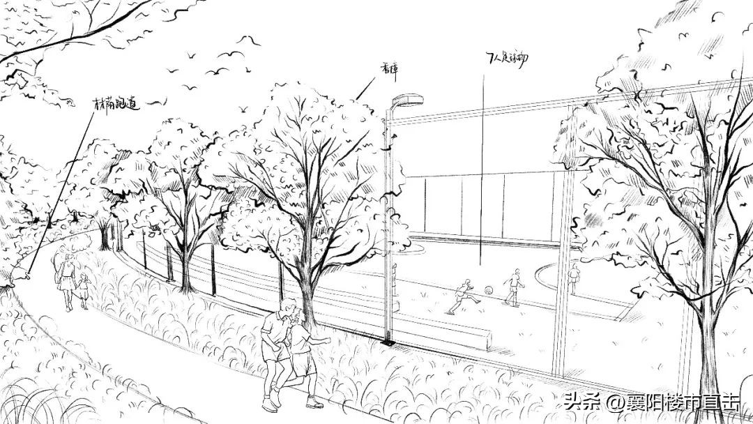 世界最大的运动公园,一座大型体育广场占地约多少公顷