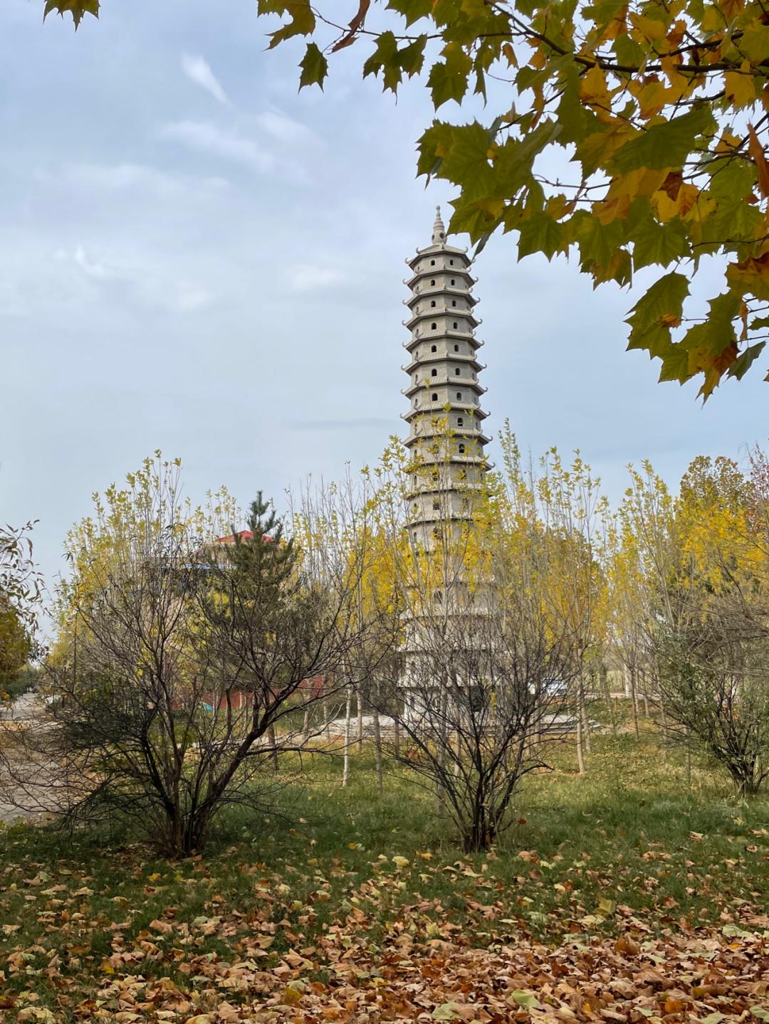 环渤海湾骑行记,环山东骑行日记青岛平度市