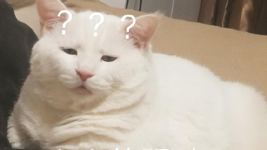 肾病引起高血压怎么治,肾病导致的高血压怎么办