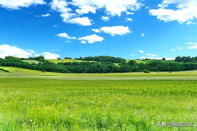 网络信息带来的利与弊,如何看待网络信息焦虑
