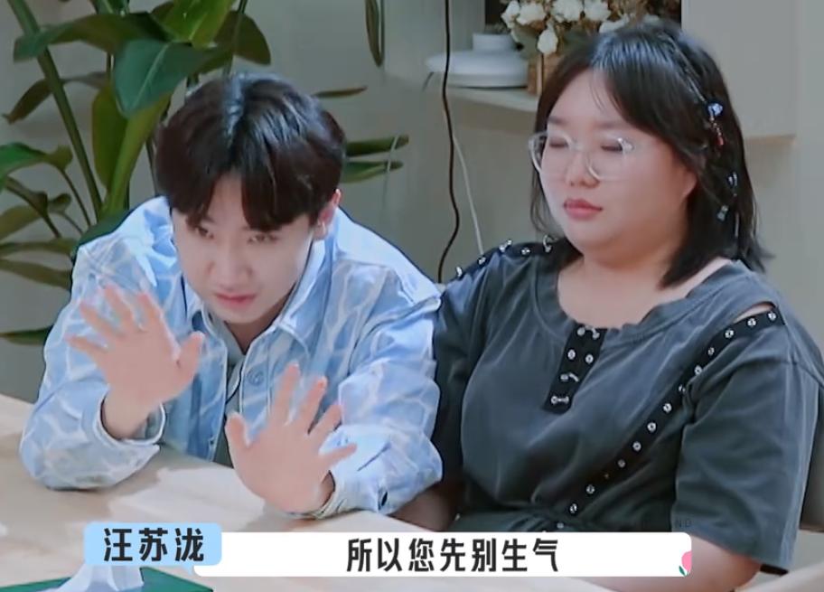 桃花坞宋丹丹自卑论,宋丹丹桃花坞谈钝感力