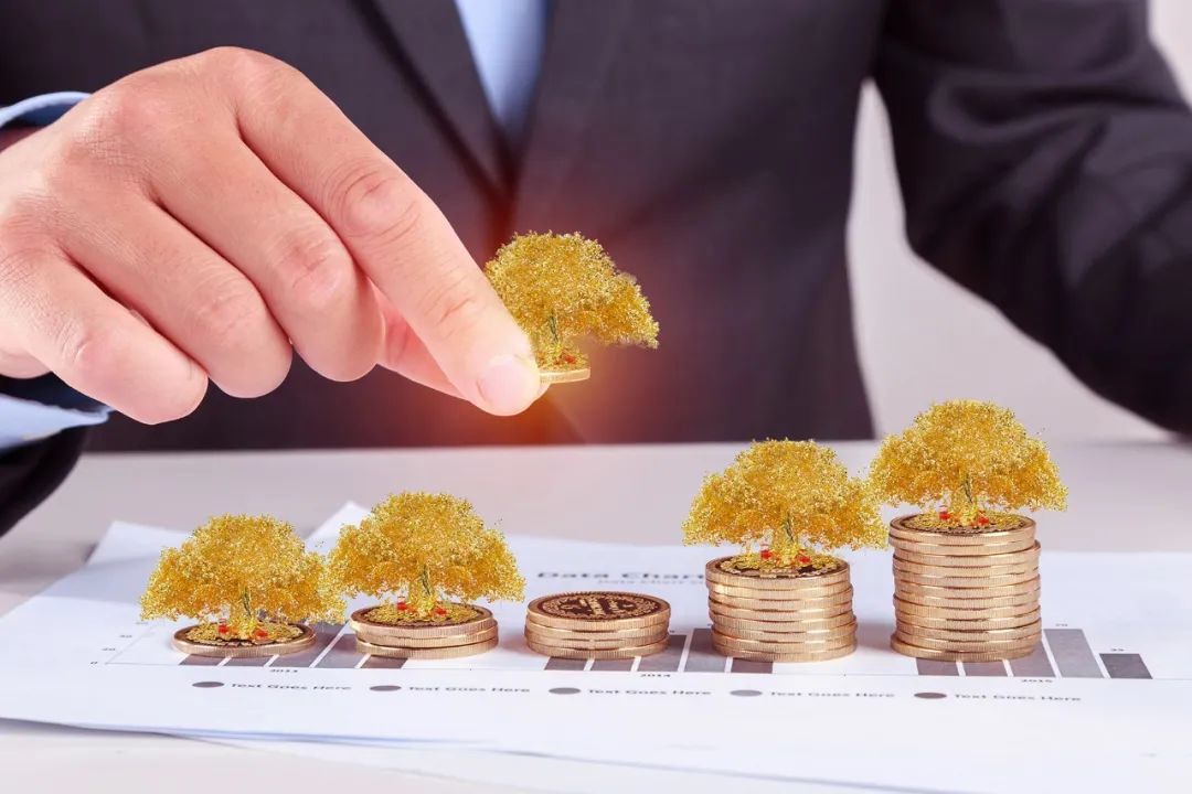 田野股份申购价值分析,今日新股申购建议分析田野股份