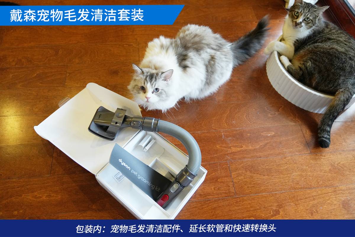戴森吸猫毛神器,戴森宠物毛发清洁套装