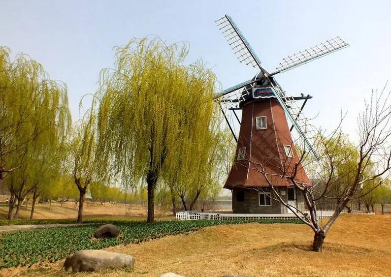 德州减河湿地公园一日游攻略,德州减河湿地公园游览记