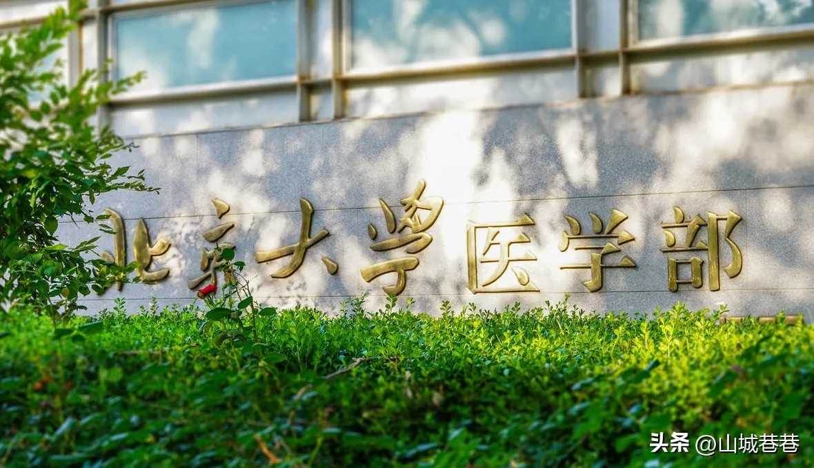 重庆口腔医学专科学校2023分数线,重庆口腔医学专业有哪些本科院校