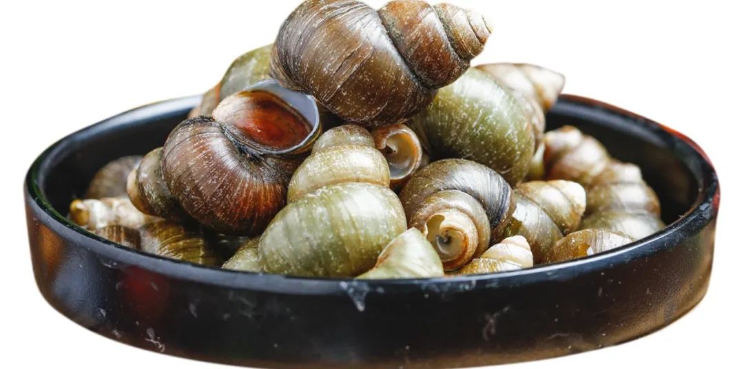 田螺的正确吃法,田螺姑娘