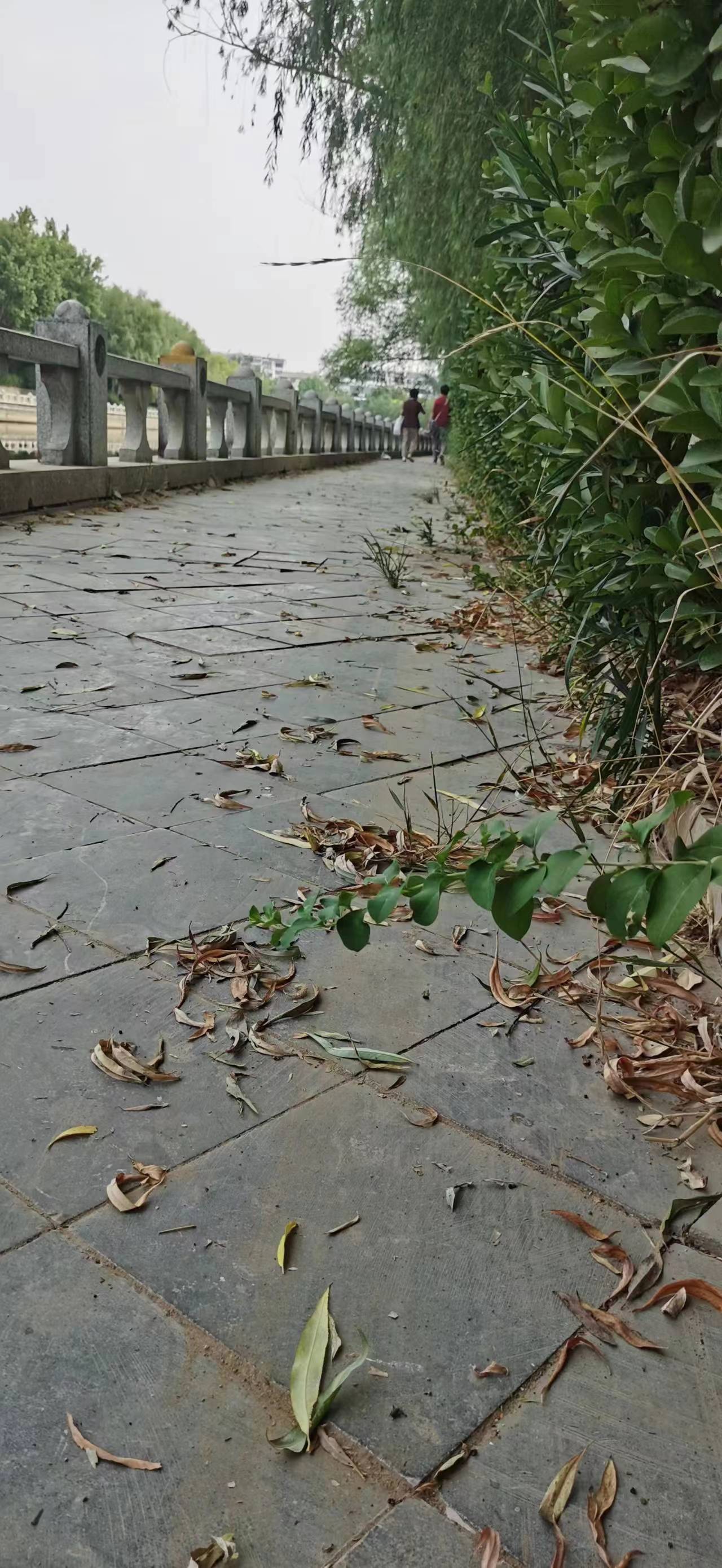 2023079期双色球:红球号码基本上没有冷号,那就关注这两类号码