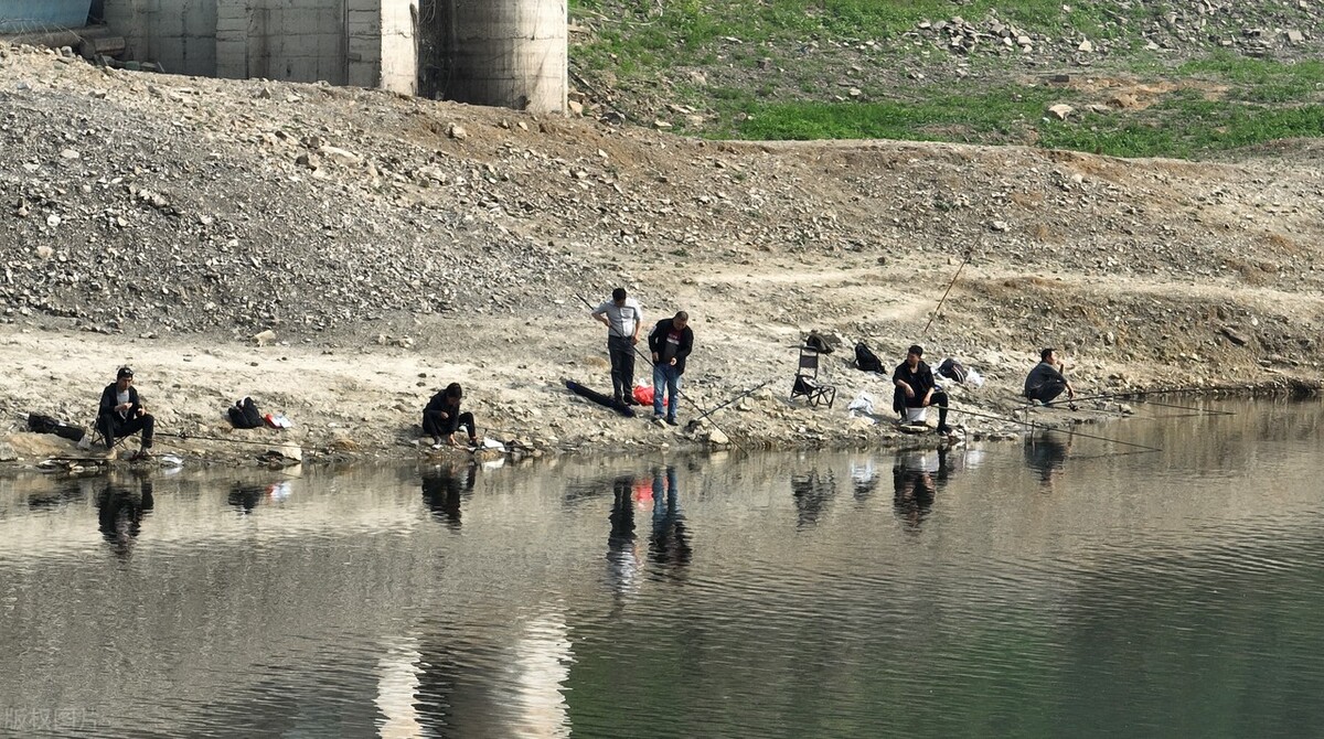 钓鱼野钓发家致富,农村小伙钓鱼直播间