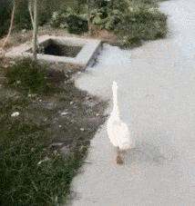 姑娘这么可爱竟然当保安，大叔都忍不住多看两眼，太屈才了: