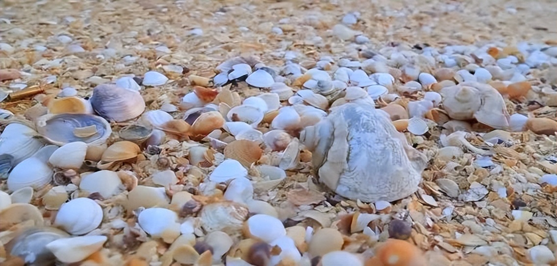 跟团去山东旅游,跟团去欧洲旅游游记