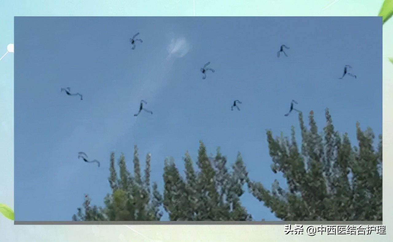 眼部失明的症状,眼部保护科普诱发失明5大前兆