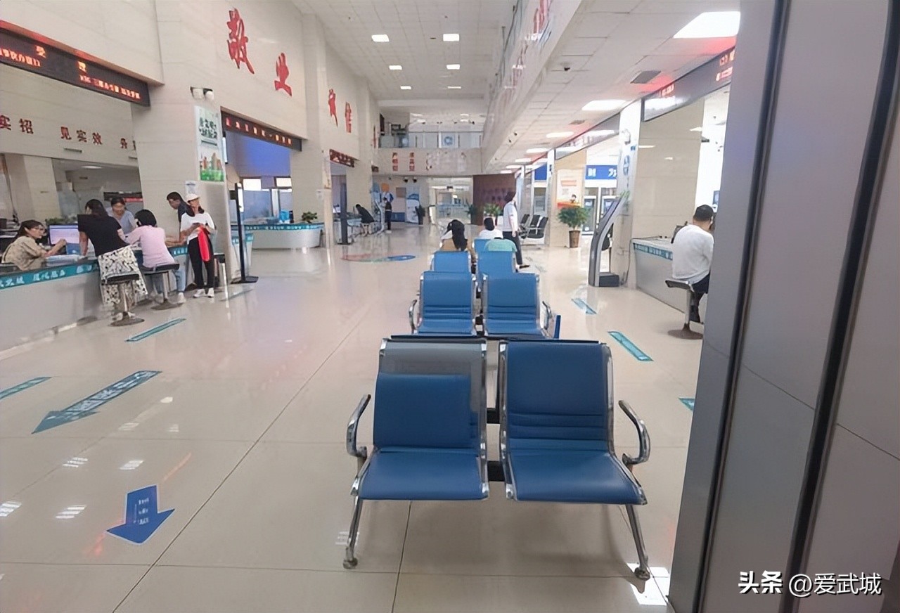 武城县委巡察办,武城2024巡察计划