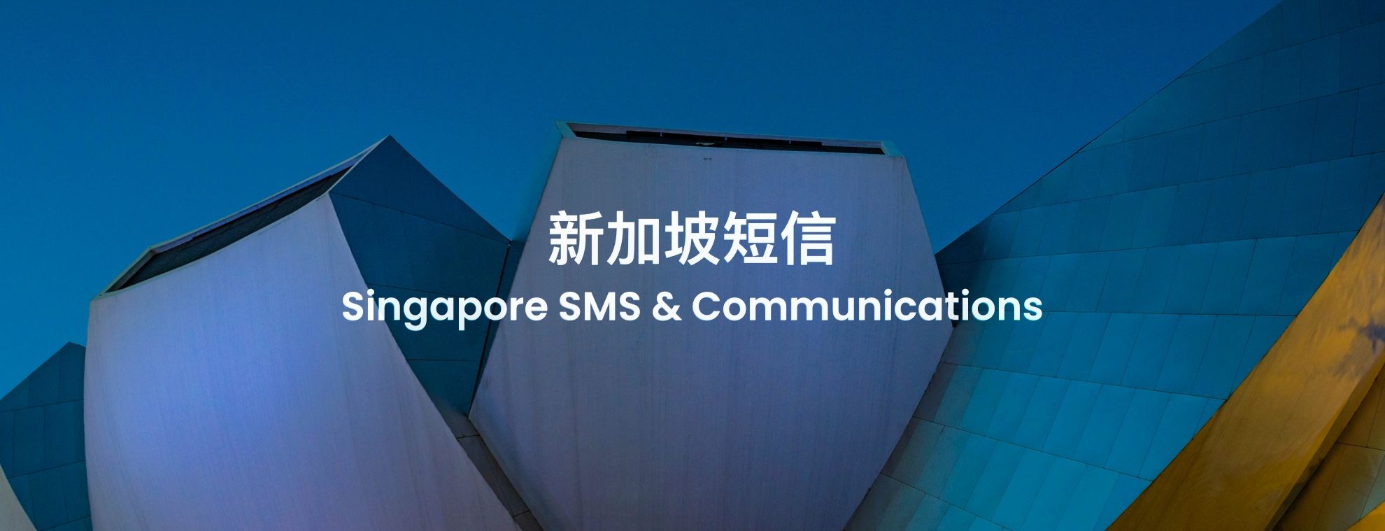 新加坡出海攻略,出海指南新玩法