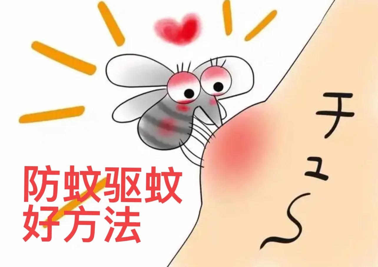 夏天蚊虫多驱蚊小方法,小蚊虫最佳驱蚊方法