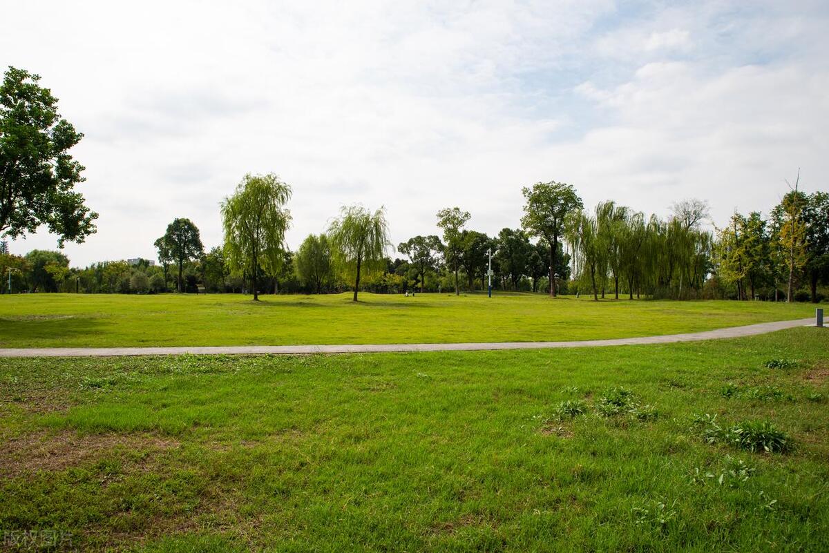 合肥最美公园在哪个区,合肥有哪些公园值得一去