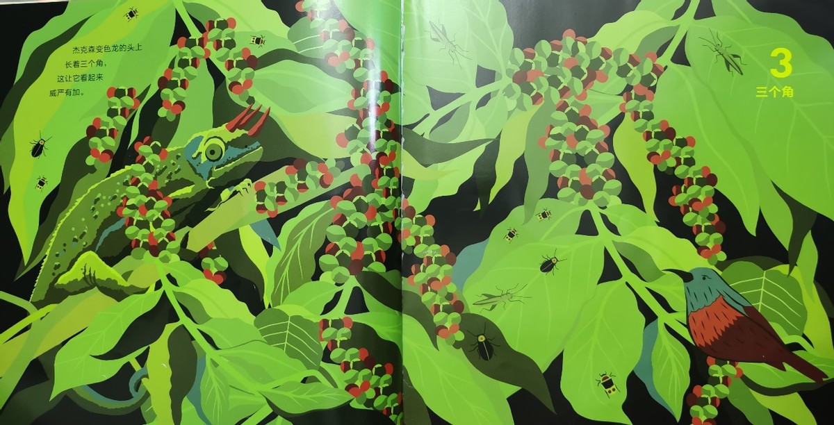 绘本和我一起数星星,儿童绘本推荐3-6岁星星主题