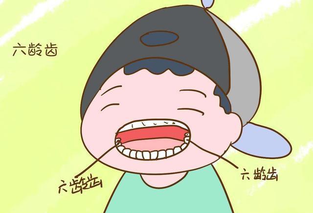 为什么六龄齿本身就是恒牙,家长要谨记