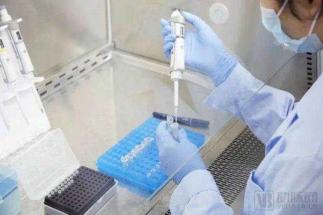 瞄准医学遗传学临床数字化应用，基信源科、聚道科技开启战略合作