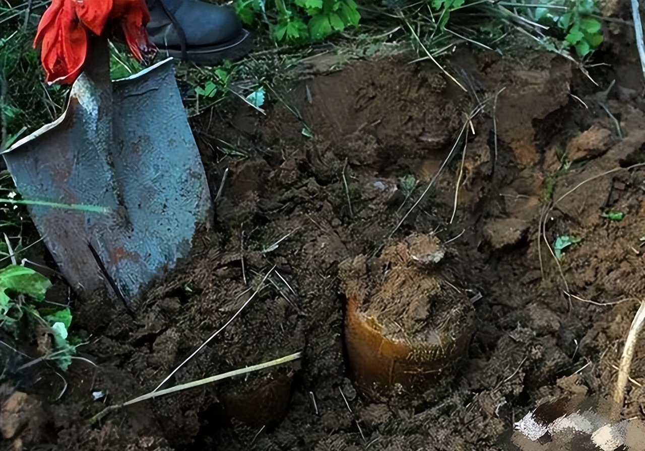 重庆一大叔，19年前囤8箱黄酱茅台，今天打开“面目全非”，为何