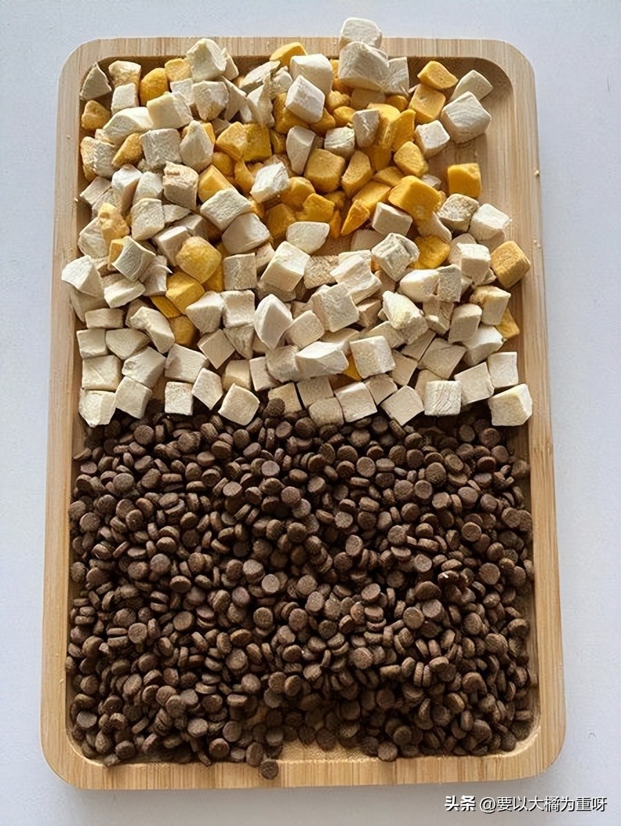 猫咪胖了怎么样才能减肥,猫咪肥胖怎么减