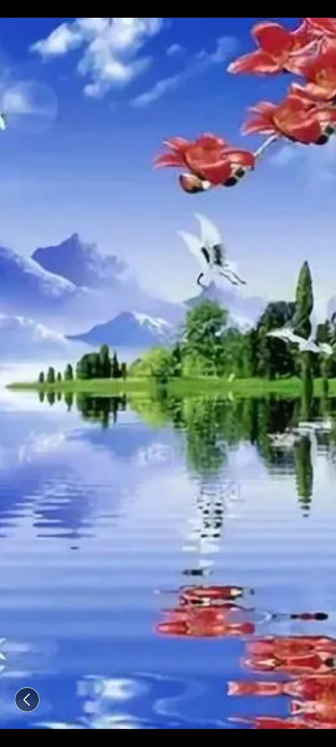 男怕入错行女怕嫁错郎入行须提防,广场舞男怕入错行女怕嫁错郎32步