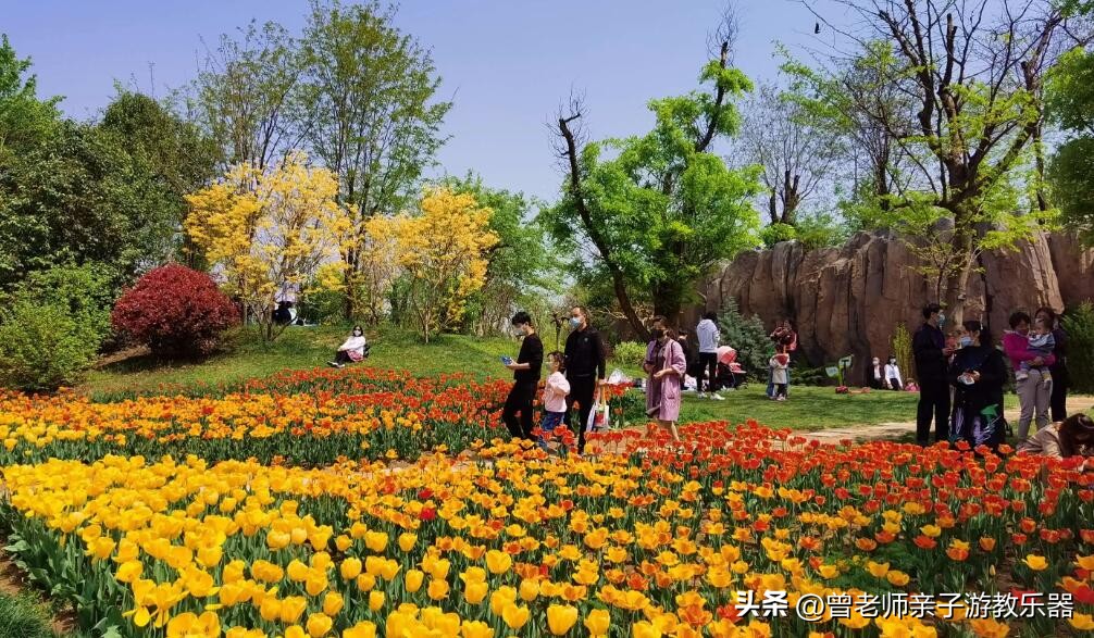 西安2023旅游攻略,2023年西安必去景点