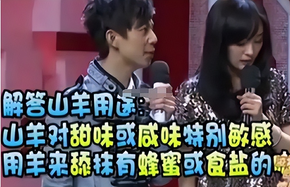 内娱小天后杨幂,内娱杨幂地位