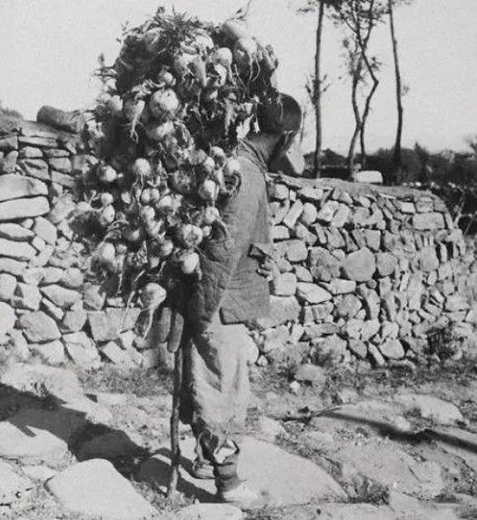 鲁迅的少年玩伴闰土晚年生活,鲁迅儿时玩伴闰土长什么样