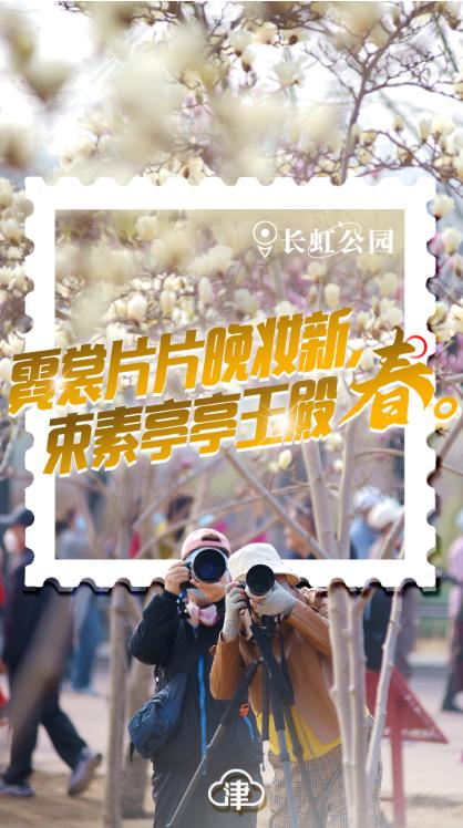 四月的天津,四月初的天津