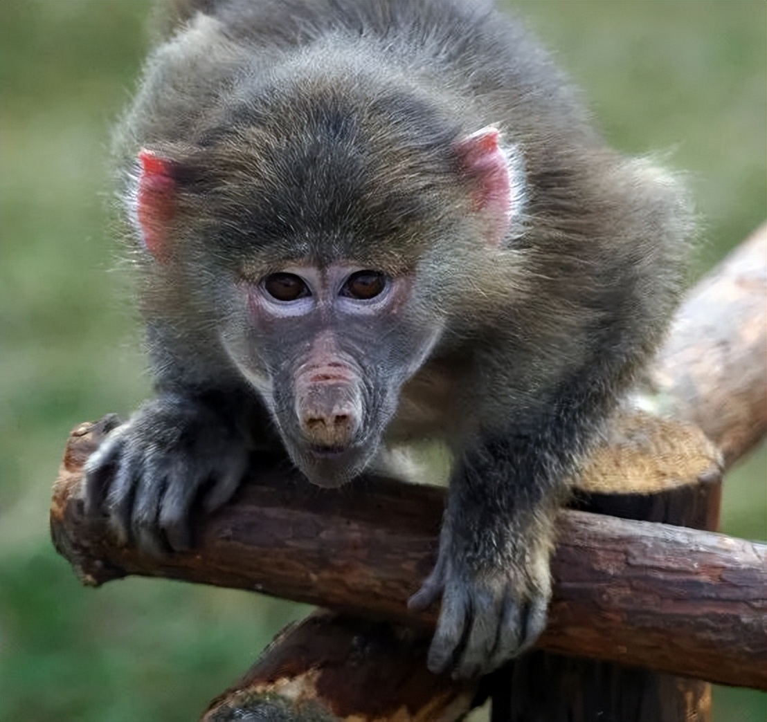 武汉特种兵式旅游攻略,南京特种兵式旅游攻略