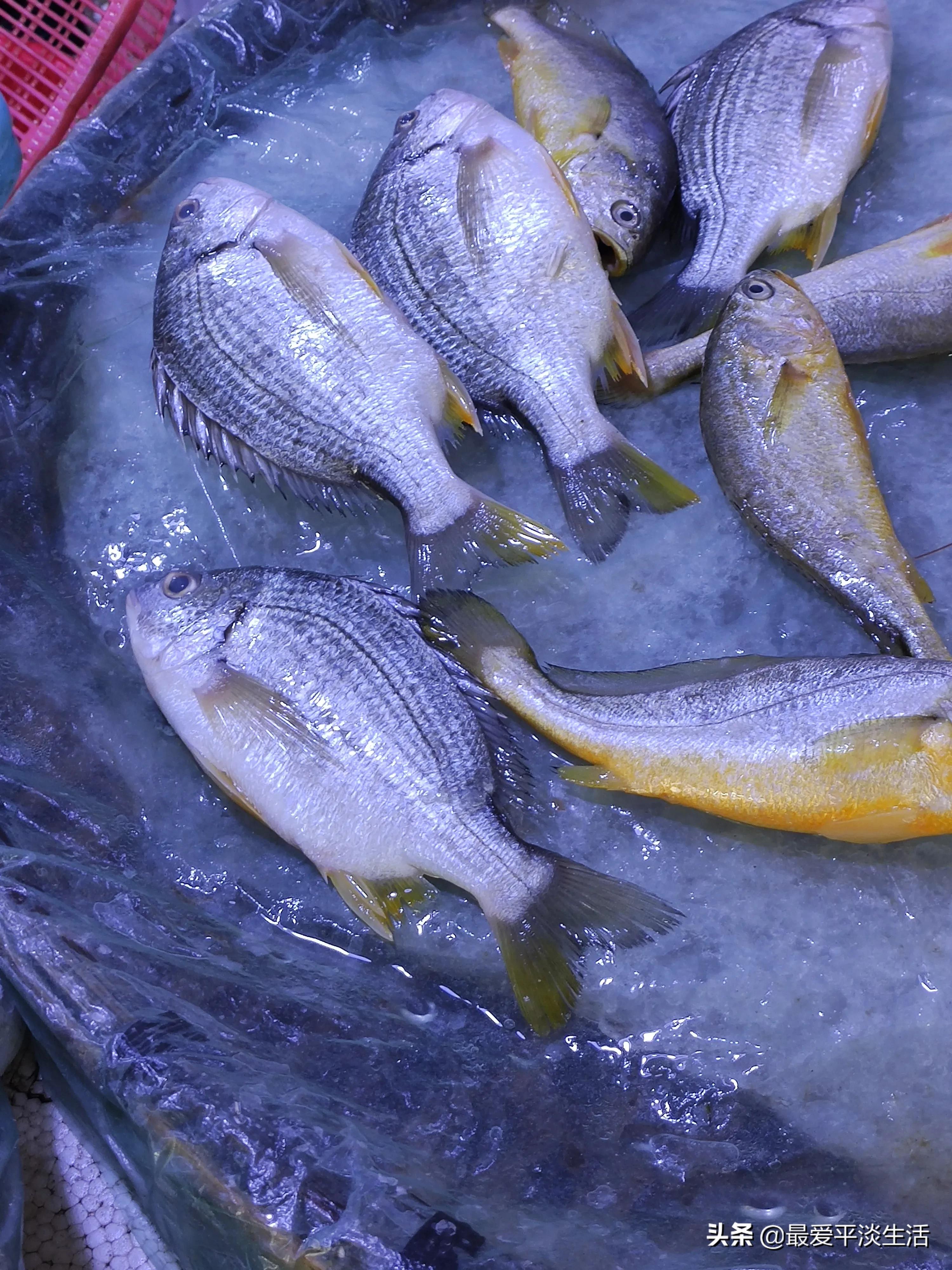 市场上卖的海鲜为什么那么贵,市场的海鲜卖不完