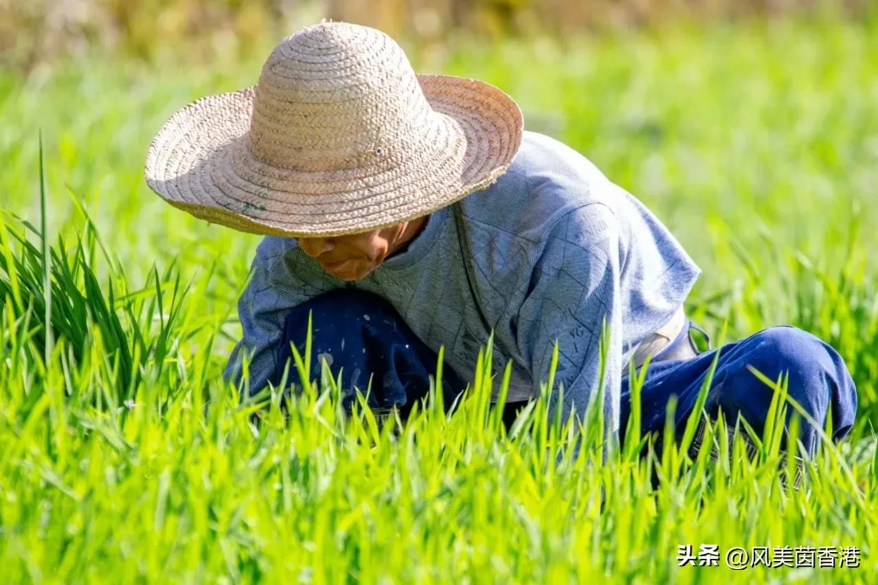 怒伤肝养生话术,惊蜇的两个含义