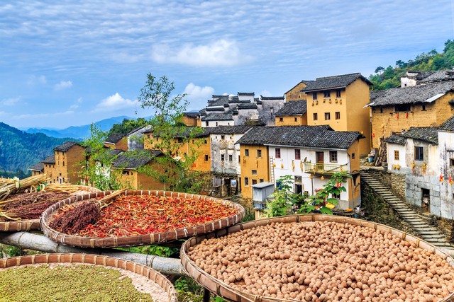 大包干前夕农村现状,大包干农村现状