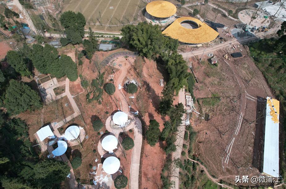 【一线在行动】云顶水乡田园综合体开足马力奏响“春日序曲”