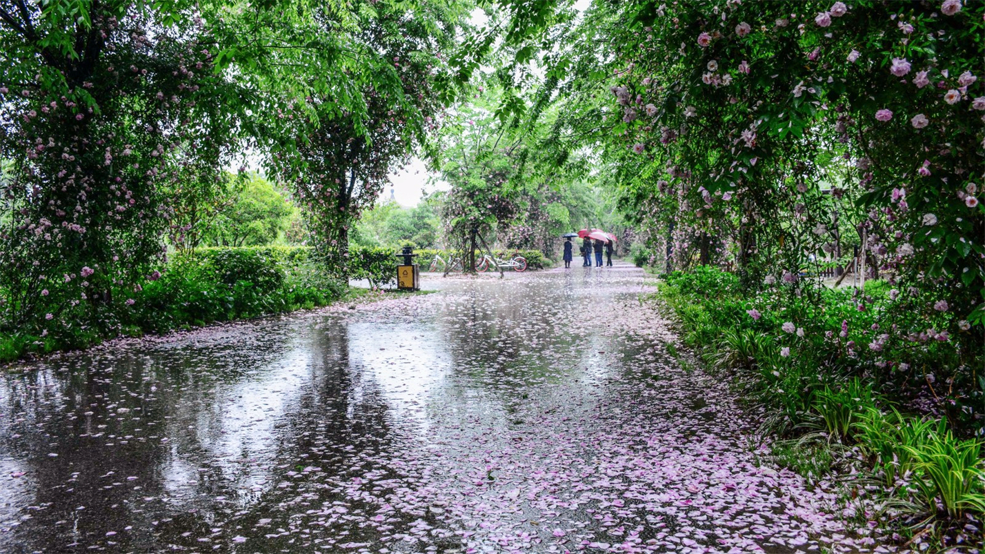 春情春思春景赏，春思春念春日长