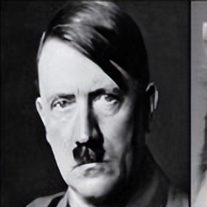 生物神经元中的多模态神经元