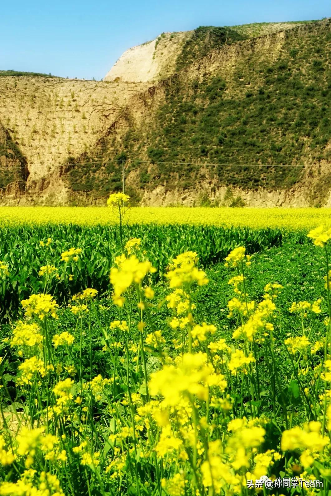 宝藏小众城市榆林,边陲古城榆林