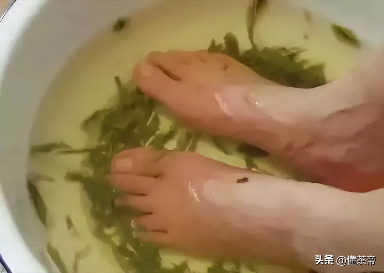 喝了过期的绿茶对身体有啥危害,绿茶过期了还能不能喝要不要扔掉