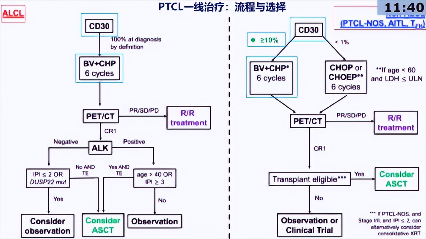 白鸥教授：外周T细胞淋巴瘤的最新治疗进展丨中国肿瘤内科大会