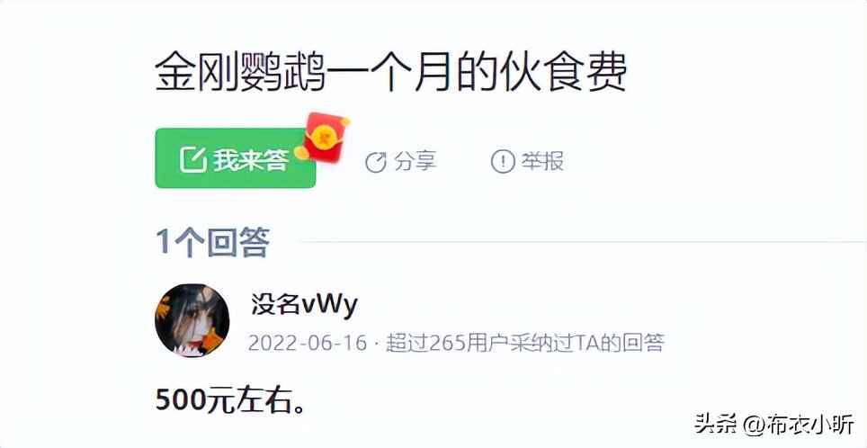 蓝黄金刚鹦鹉优缺点,千万别养蓝猫