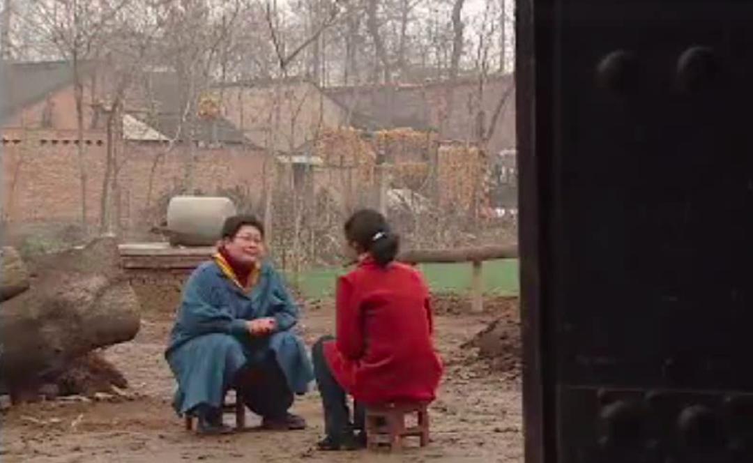 平原上的娜拉小说在哪里可以看,平原上的娜拉是什么意思