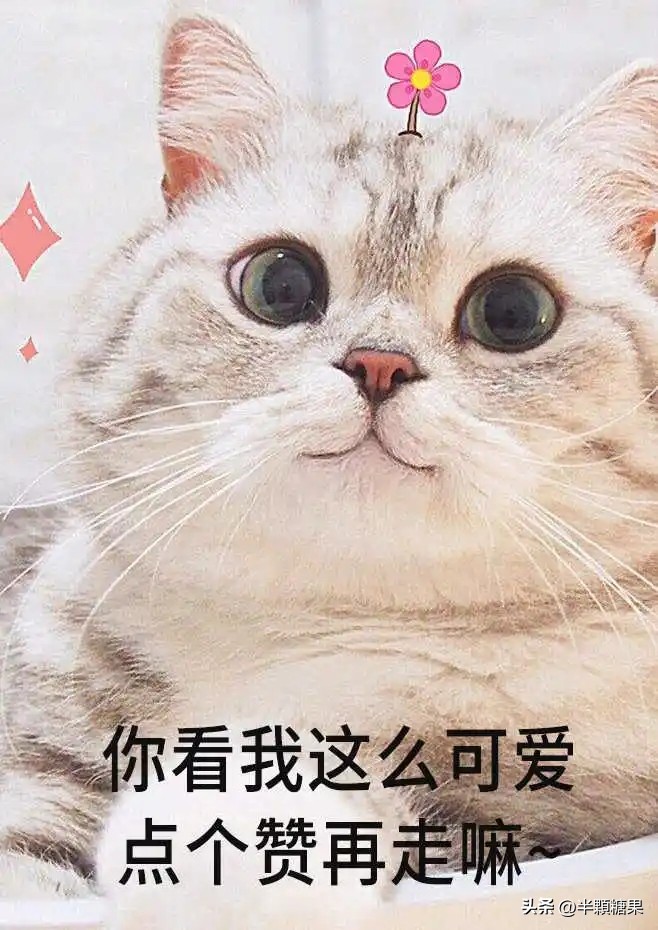 网友爆笑神回复,令人破防的爆笑神回复