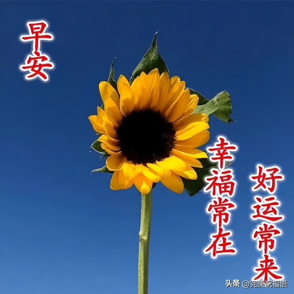 2022年早晨好表情大全,12月22号早上好表情图片大全